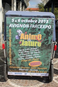 Lire la suite à propos de l’article Animo et Nature 2013 au Parc des expositions d’Avignon du 5 au 6 Octobre.